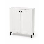 2-Door Classic MDF Storage Cabinet with Arched Design
