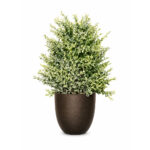 Decorative Artificial Green Plant Bonsai in Plastic Pot