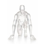LALIQUE FROSTED GLASS SCULPTURE