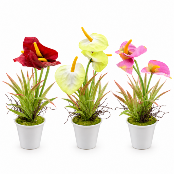 Artificial Anthurium Flower Plant with White Pot – 3 Inch